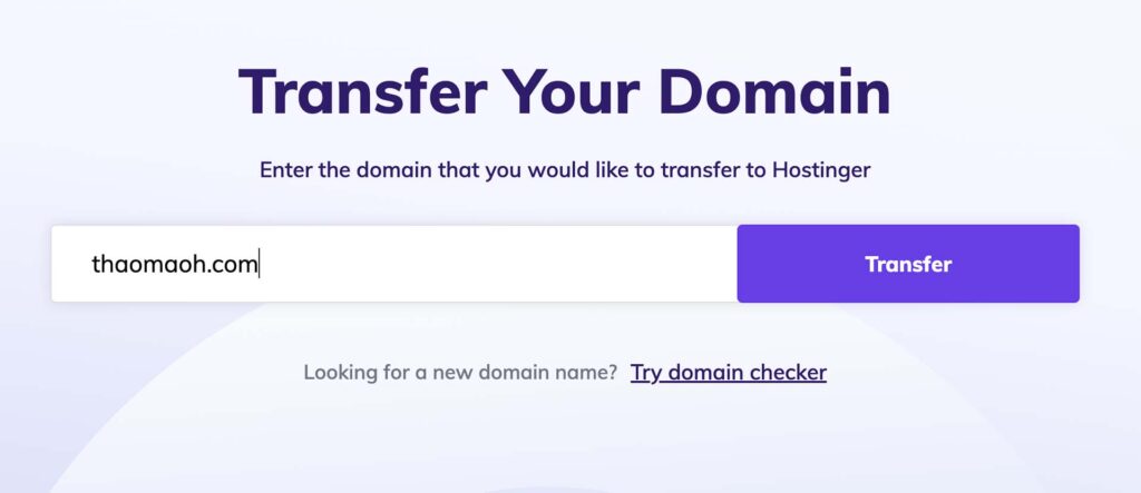 Finding Your Domain Through Hostinger