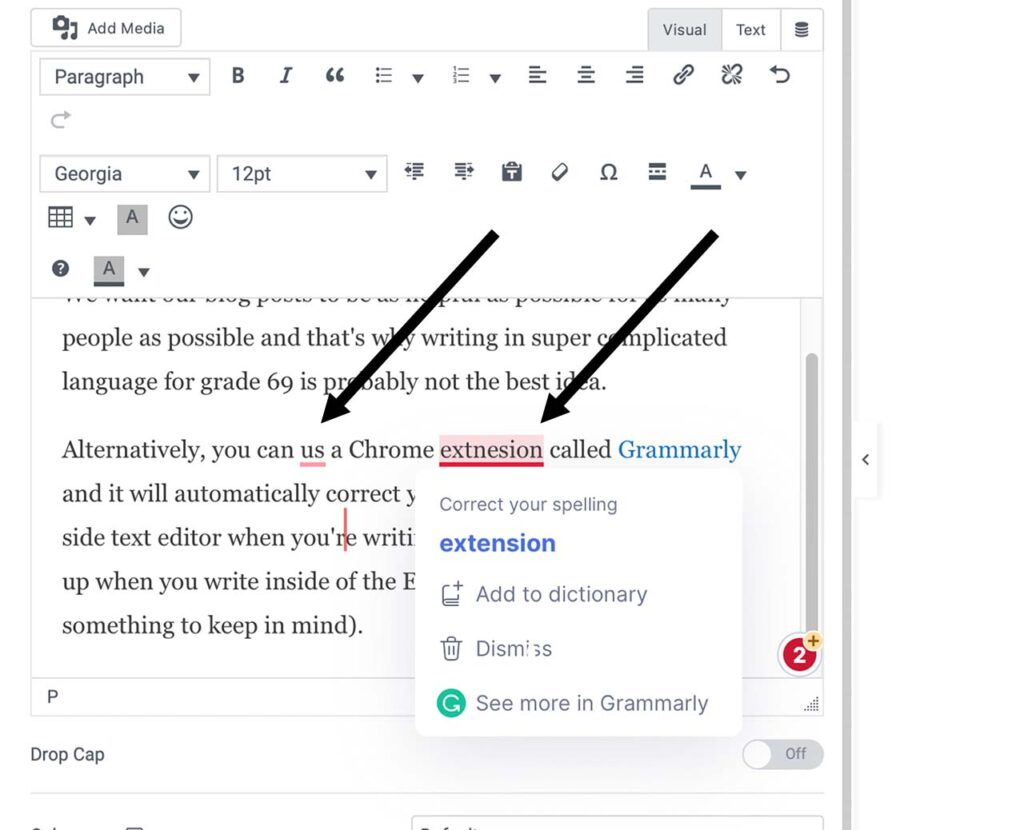 Grammarly correcting blog post mistakes
